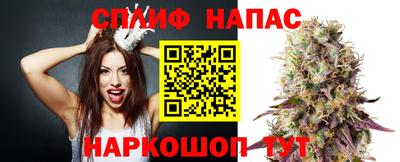 PSILOCYBIN Заводоуковск