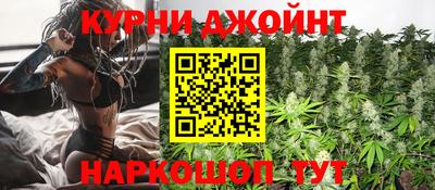 гашик Жуковский