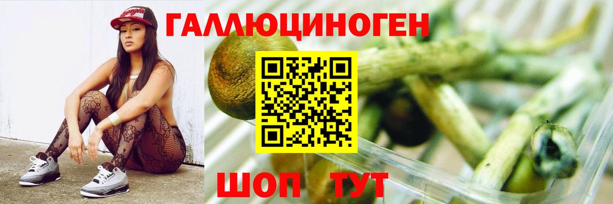 Псилоцибиновые грибы прущие грибы  Вход с VPN  Псилоцибиновые грибы Magic Shrooms  Люберцы 